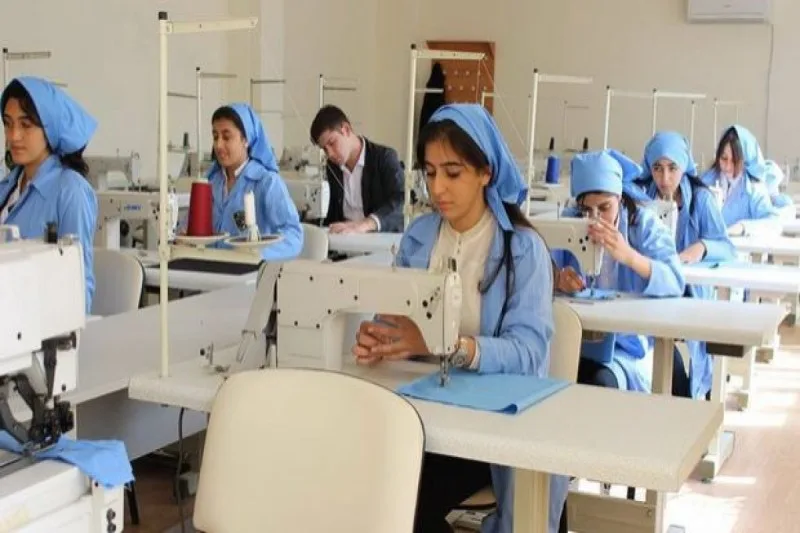 Azərbaycanda təhsil haqqı 5 min manat olan peşə məktəbləri var - AÇIQLAMA
