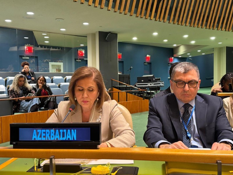 Bahar Muradova BMT-də TDT adından bəyanatla çıxış edib - FOTO
