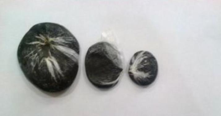 10,8 kiloqramdan artıq narkotik vasitə aşkarlandı