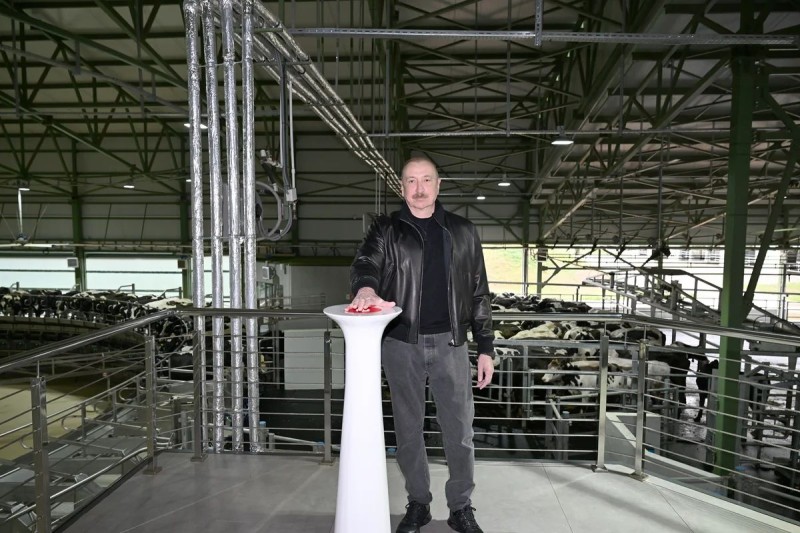 İlham Əliyev Şamaxıda Şirvan Aqro heyvandarlıq kompleksinin açılışında iştirak edib - FOTO