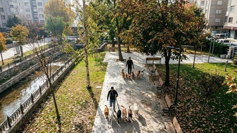 Gördüyü işdən ayda 7500 qazanır: Heç bir xərci yoxdur, qazancı özünə qalır