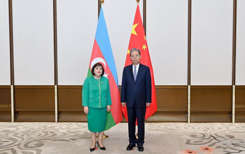 Sahibə Qafarova ilə görüşdə Azərbaycana təşəkkür etdi - Fotolar