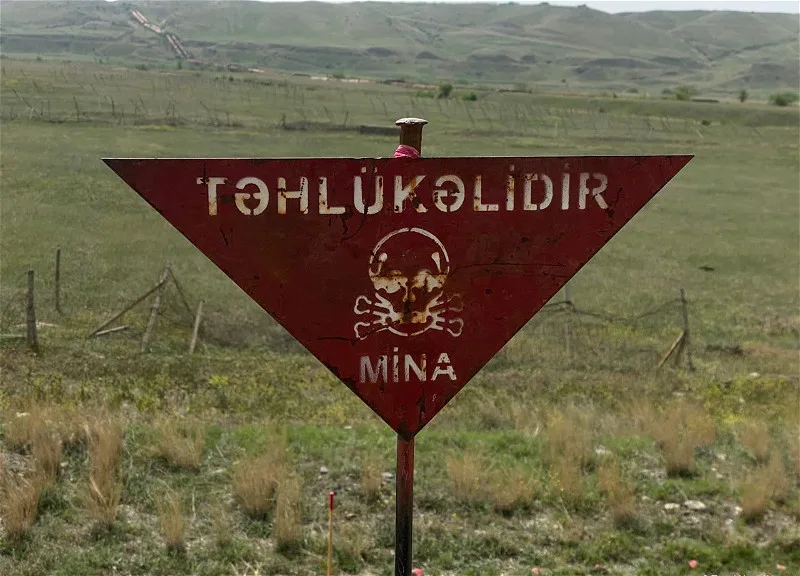 Minaya düşən Ceyhun - Fotosu