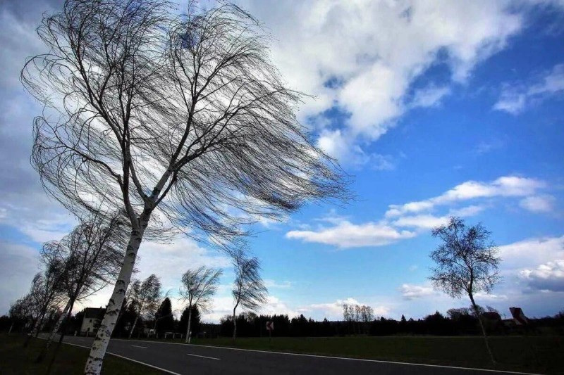 Küləkli hava şəraiti ilə bağlı XƏBƏRDARLIQ