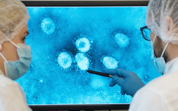 Viruslar bir-birini eşidir - ARAŞDIRMA