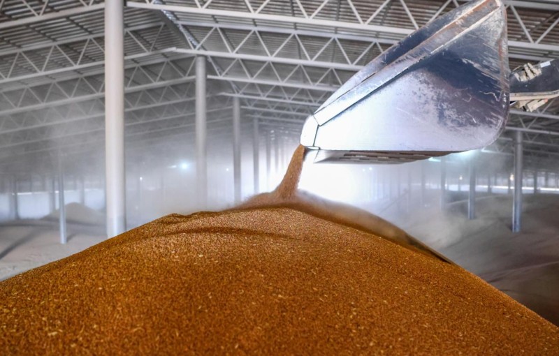 Rusiya və Misir taxıl və enerji mərkəzi yarada bilər