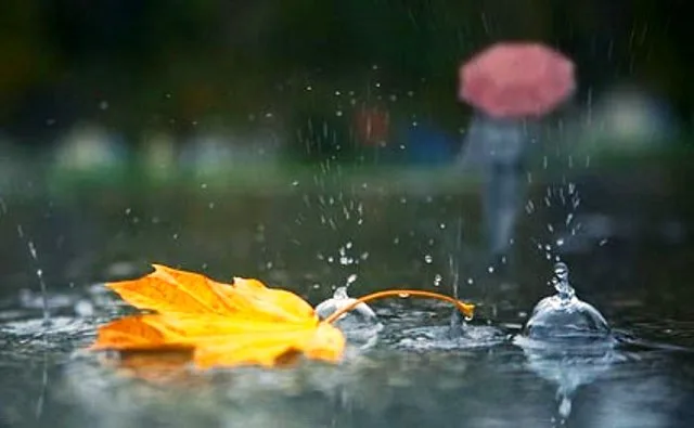 Yağışlı hava sabah da davam edəcək
