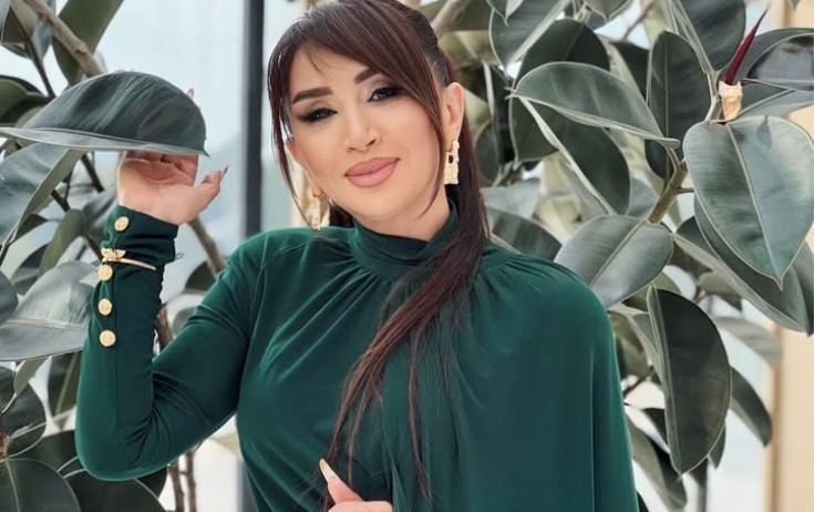 Elnarədən tənqidlərə cavab: Ağıllı ol