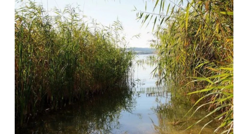 9 yaşlı uşaq gölməçədə boğuldu