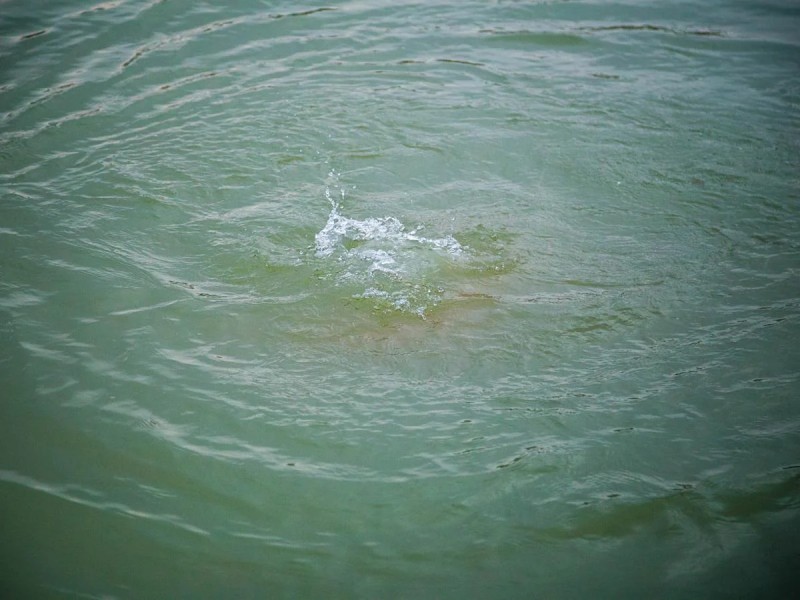 37 yaşlı kişi kanalda boğuldu