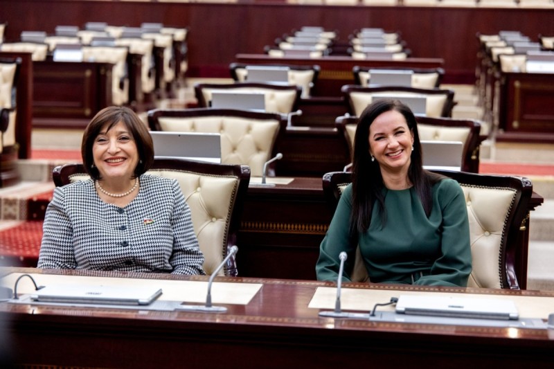 Milli Məclisin sədri Litva Baş naziri ilə görüşüb