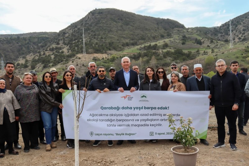 Bəylik Bağları yenidən bərpa olunur - FOTOLAR