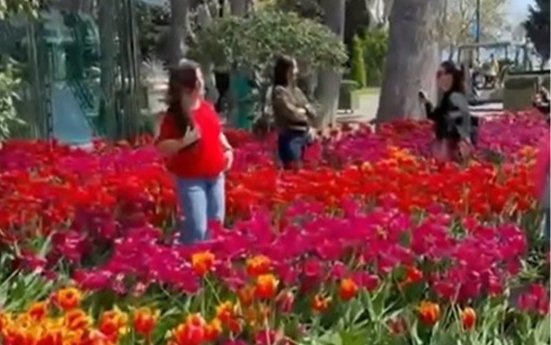 Bulvarda gülləri əzən 10 nəfər polisə çağırıldı - Video