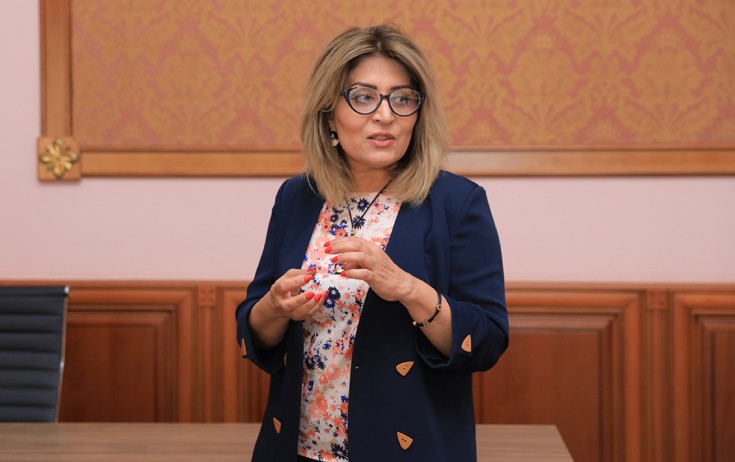 İlhamiyyə Rza xəbər aparıcılarını tənqid etdi