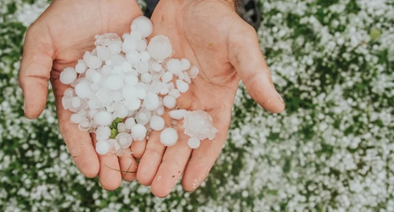Paytaxta düşən dolu hazırkı dövr üçün xarakterikdirmi?