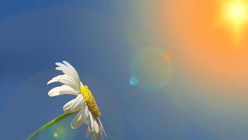 Sabah 22 dərəcə isti olacaq