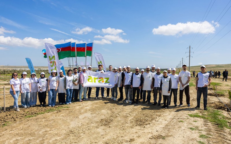 “Araz” supermarketlər şəbəkəsindən ağacəkmə aksiyası - FOTOLAR