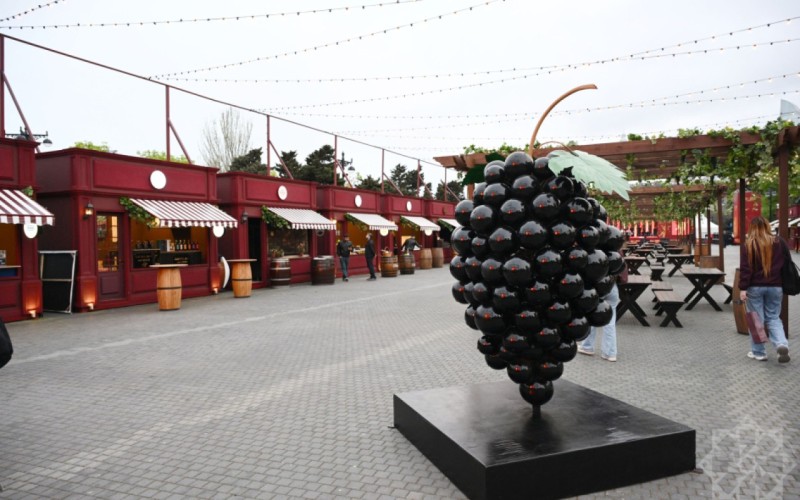 Bakıda ilk dəfə Caz və Şərab festivalı təşkil olunacaq