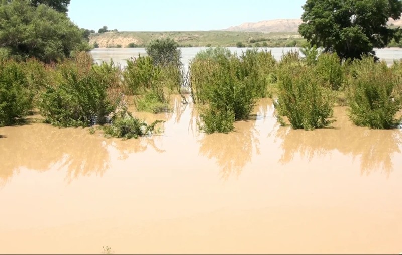 Ağcabədidə Kür çayı bəndi yardı