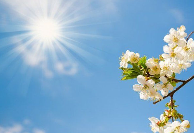 25 dərəcə isti olacaq