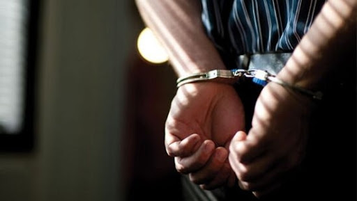 Beynəlхalq axtarışda olan daha 2 şəxs ekstradisiya edildi