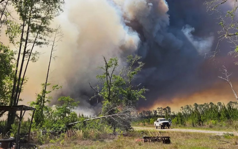 ABŞ-də meşə yanğınları başladı: 90 ev məhv oldu - VİDEO