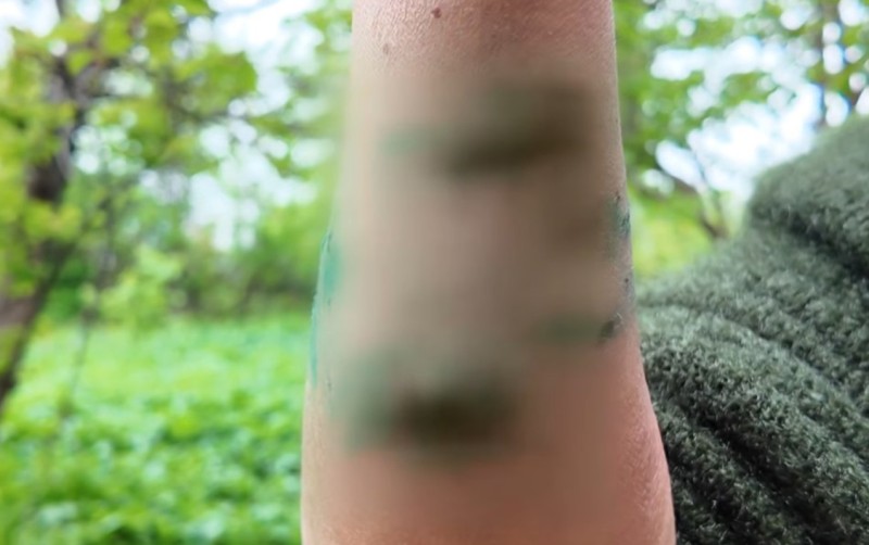 Ucarda çaqqal sakinlərə hücum etdi