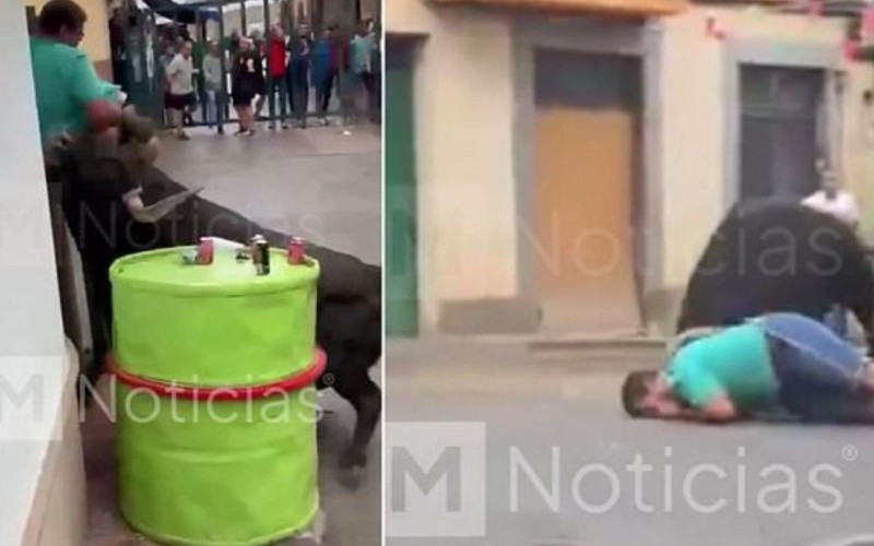 Yetişdirdiyi öküz həyatına son qoydu - ANBAAN VİDEO