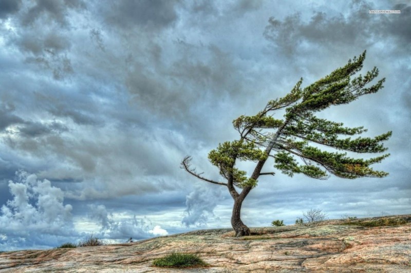 Küləkli hava şəraiti ilə əlaqədar XƏBƏRDARLIQ