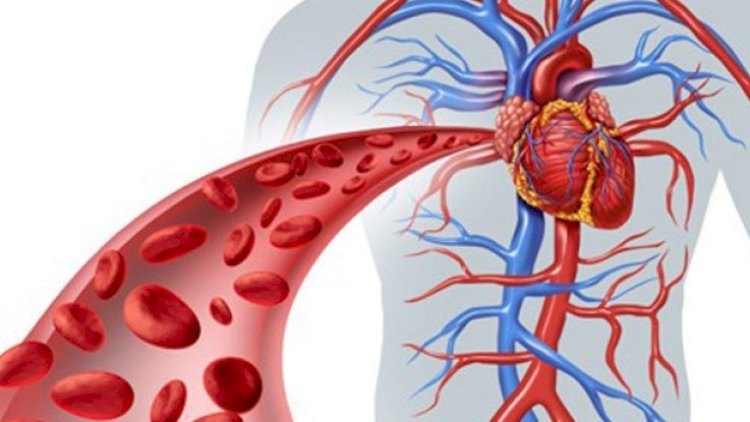Qan təzyiqini həyat tərzi dəyişiklikləri ilə sabit saxlamaq yolları