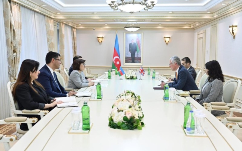 Milli Məclisin sədri Britaniya səfiri ilə görüşdü