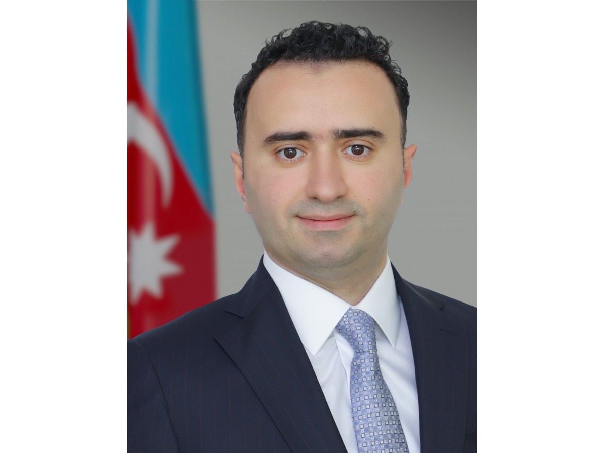Mərkəzi Banka baş direktor təyin edildi