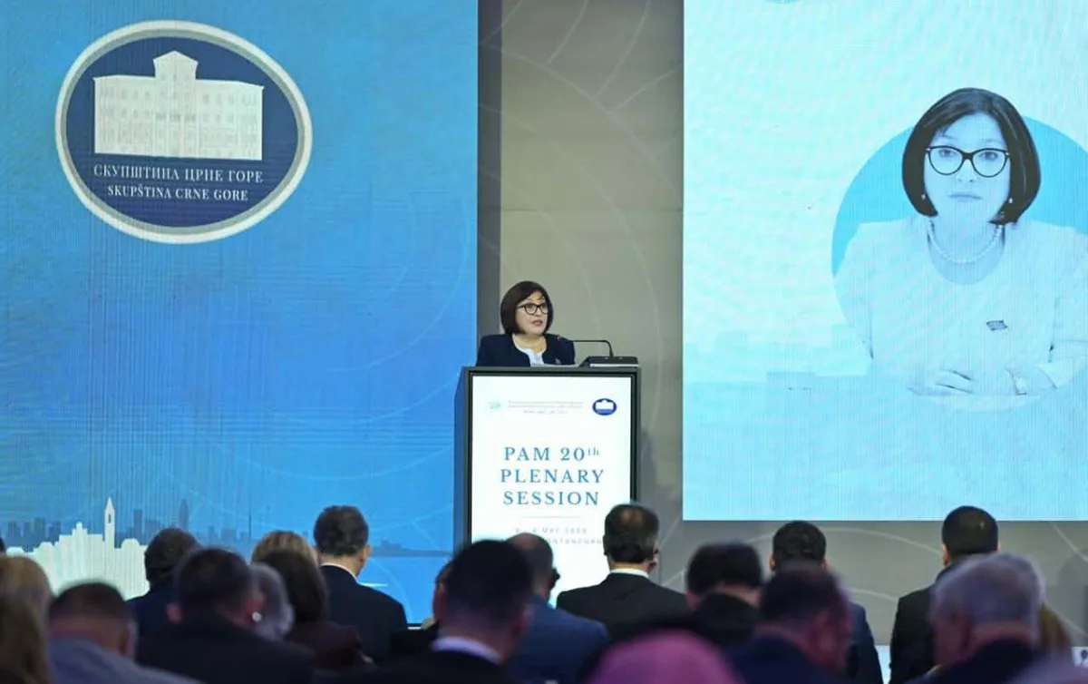 Sahibə Qafarova Sammitdə çıxış etdi - FOTOLAR