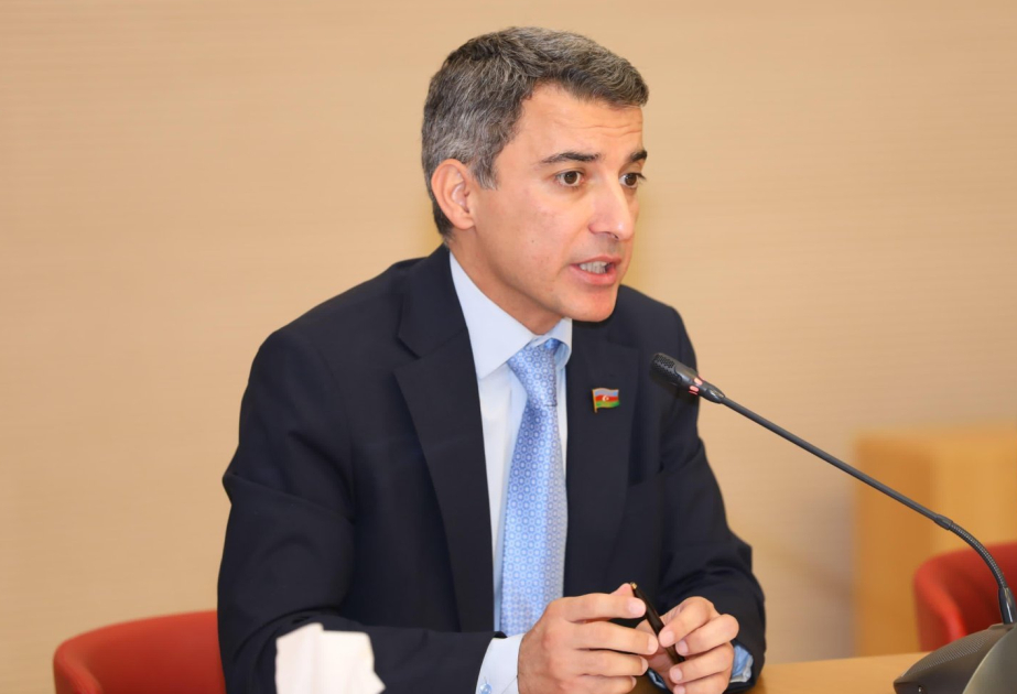 Fariz İsmayılzadə: Qarşılıqlı etimad sülh və təhlükəsizlik üçün əsas şərtdir