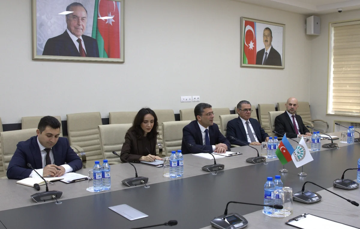 MEDİA-da D-8-in Baş katibi ilə görüş keçirildi