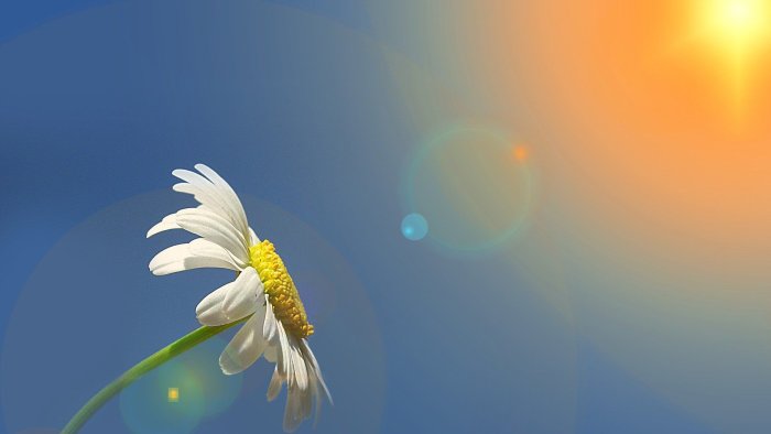 Bayram günlərində hava necə olacaq?