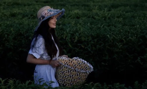 Leyla Əliyeva “Yaşıl çay” fermer təsərrüfatında - FOTOLAR