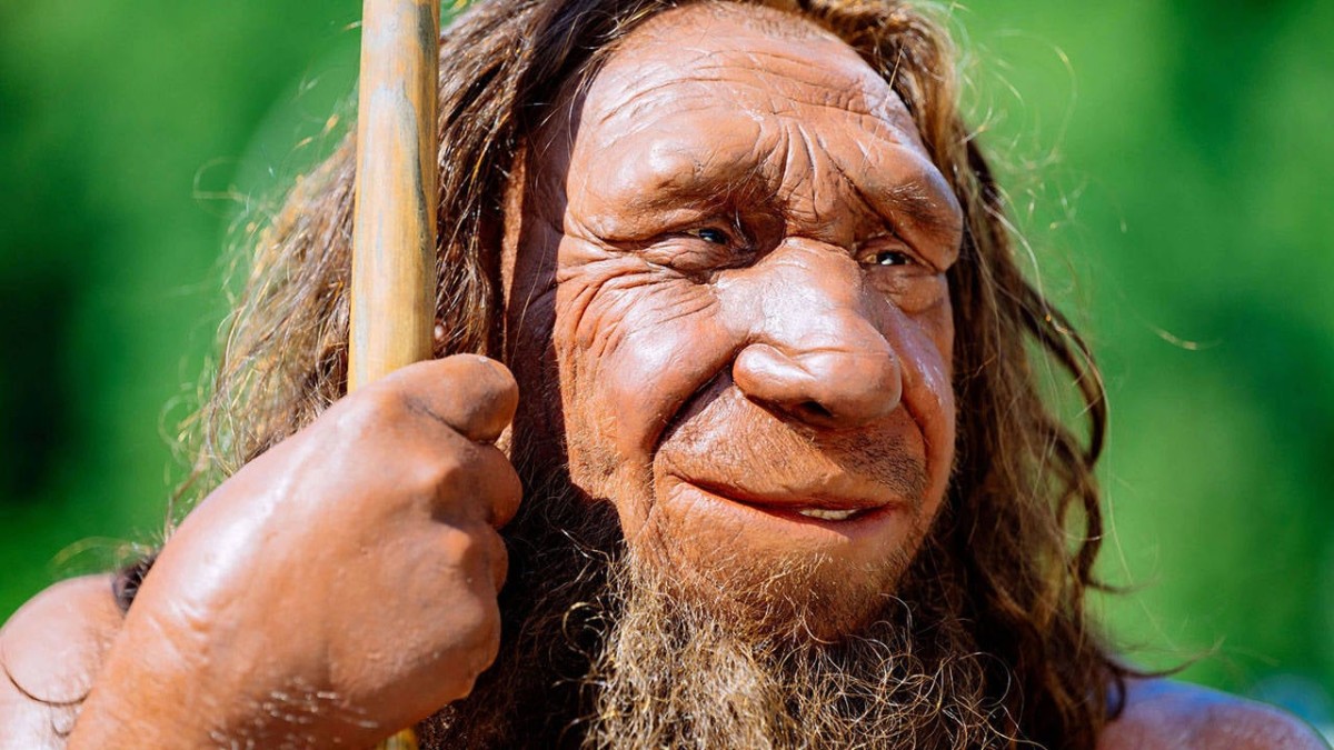 Ölkəmizdə neandertal qalığı tapılıb