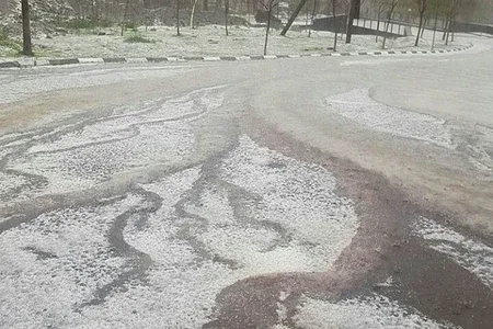 Dolu Daşkəsəndə fəsadlar törətdi
