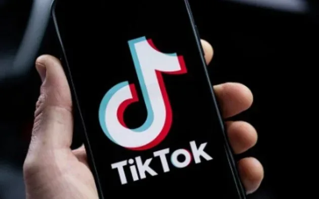 “TikTokda qeyri-etik paylaşımlar edən daha bir nəfər saxlanıldı