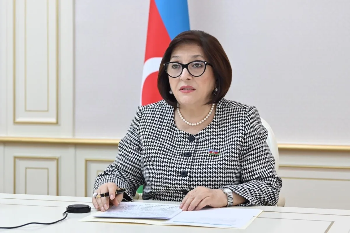 Sahibə Qafarova Ermənistanın işğalı nəticəsində ətraf mühitə vurulan ziyandan danışdı