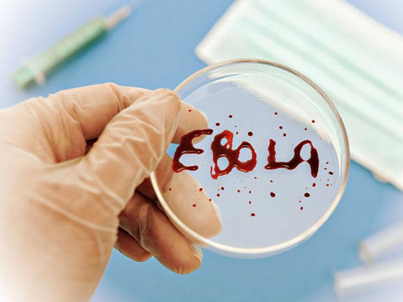 Ebola qurbanlarının sayı 1 354-ə çatdı
