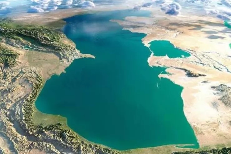 Xəzər dənizində unikal TAPINTI: suyu təbii təmizləyir