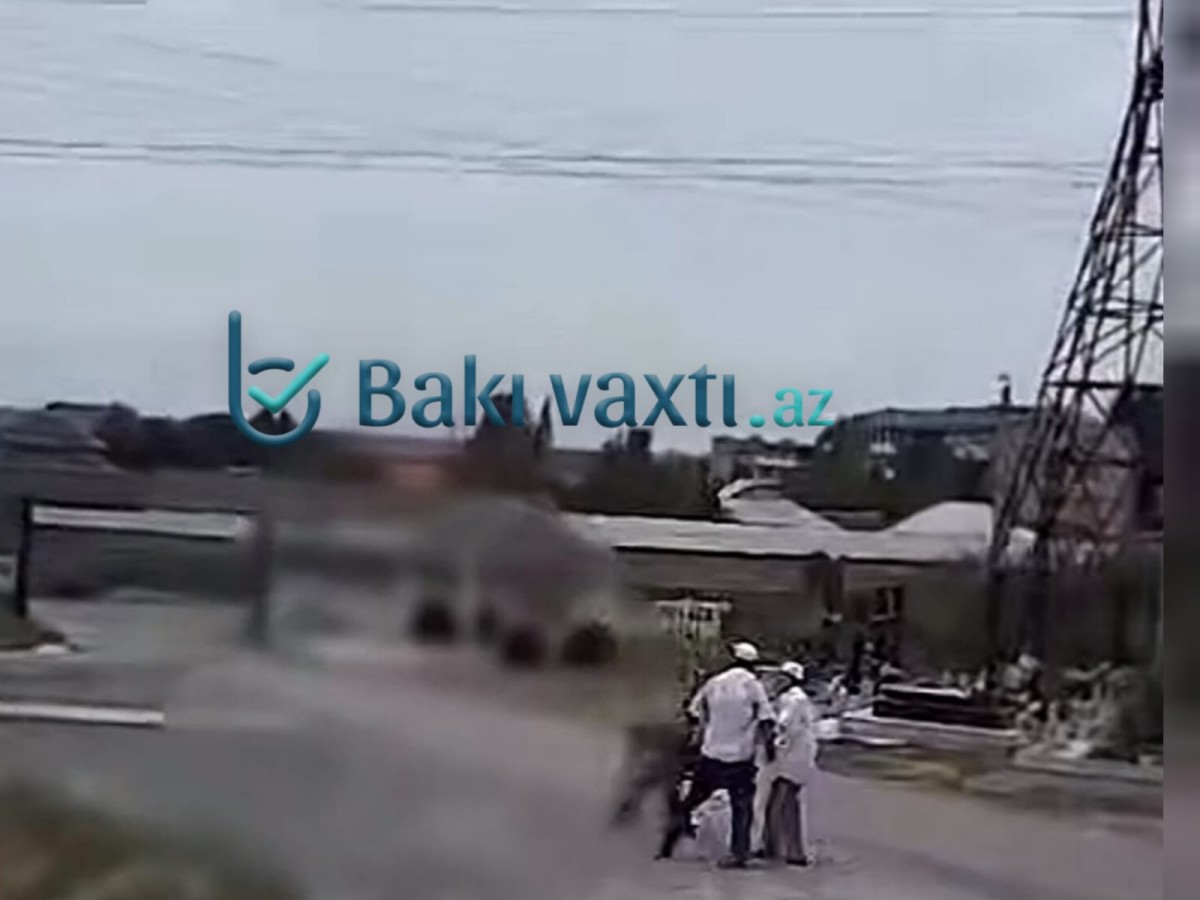 Mingəçevir qəbiristanlığında 1 manat üstündə dava: Psixonevroloji Dispanserdə qeydiyyatda olan şəxs necə mollalıq edir?
