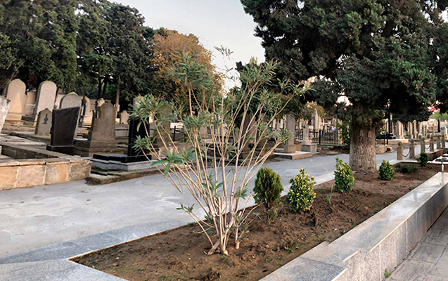 Meyiti qəbiristanlığın yaxınlığında tapıldı