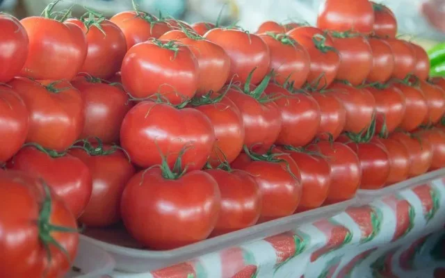 Rusiya Ermənistana pomidor üçün şərt qoydu