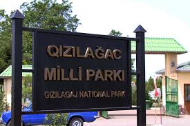 Qızılağac Milli Parkında qanunsuz ov edən şəxslər saxlanılıblar