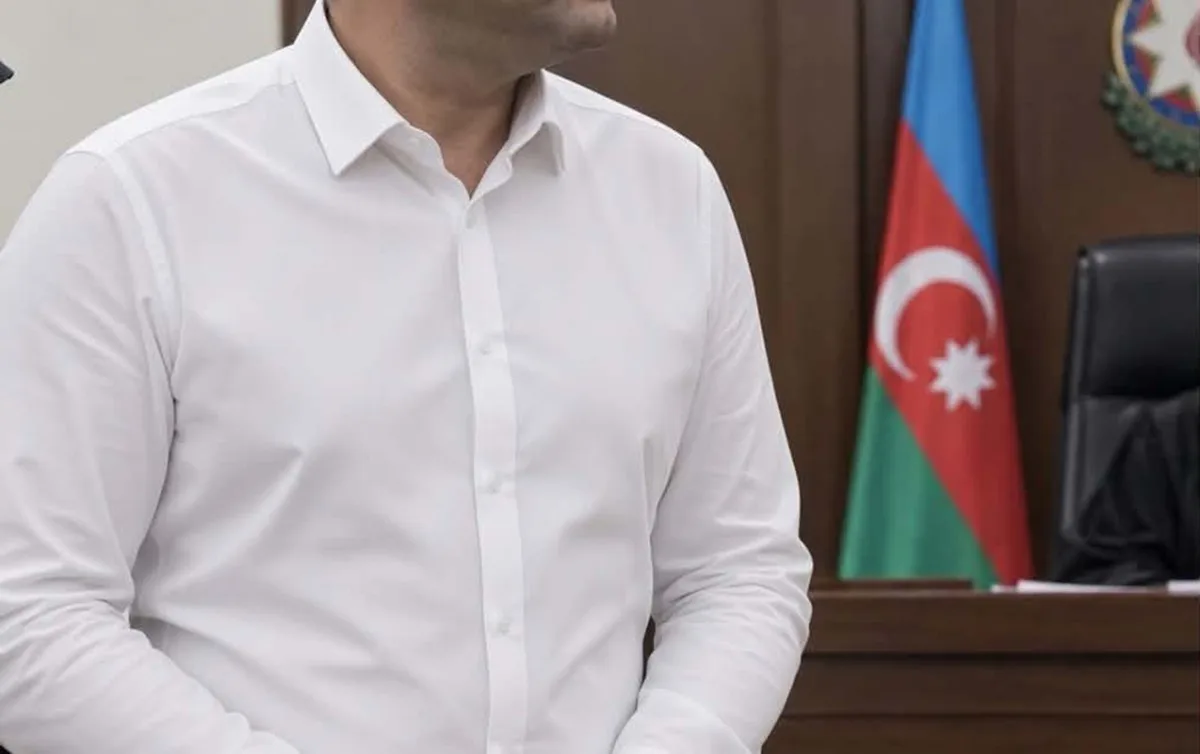 Milyonçu qardaşların biri həbsdən azad edildi