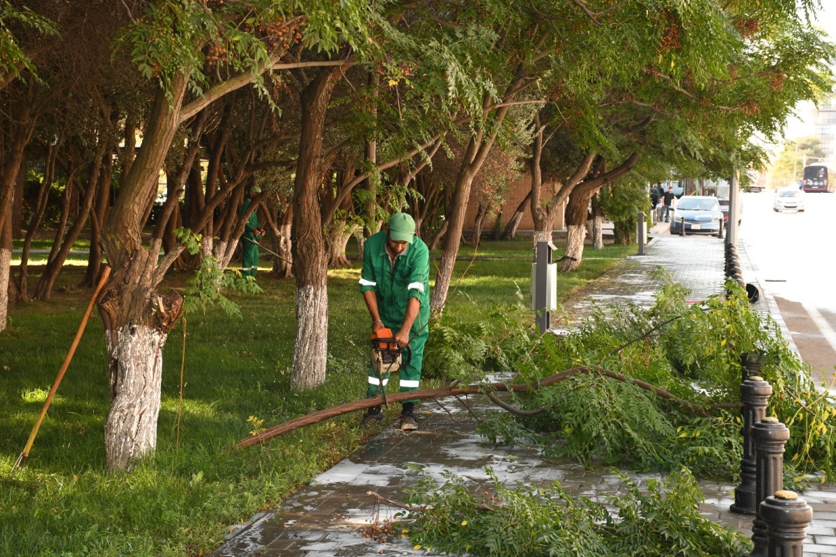 Bakıda təmizlik və abadlıq işləri həyata keçirildi - FOTOLAR
