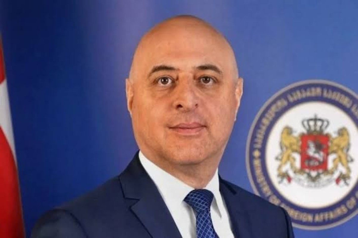 Gürcüstan Azərbaycana YENİ SƏFİR təyin etdi - FOTO
